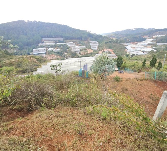 z7500812292660_9efc511cfdcf81d7cc1a39db59ccf4a1