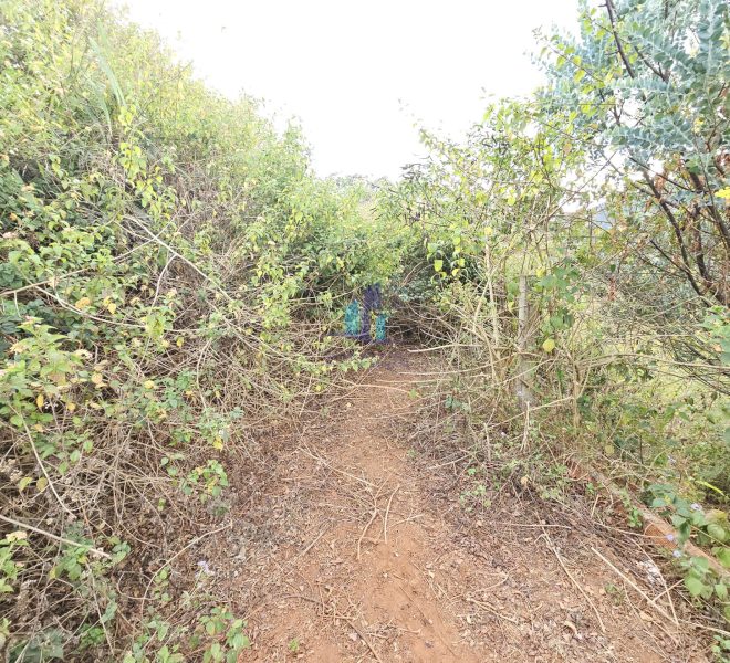 z7500812292733_afe4dd3963dfb79815d965c2e24ede3c