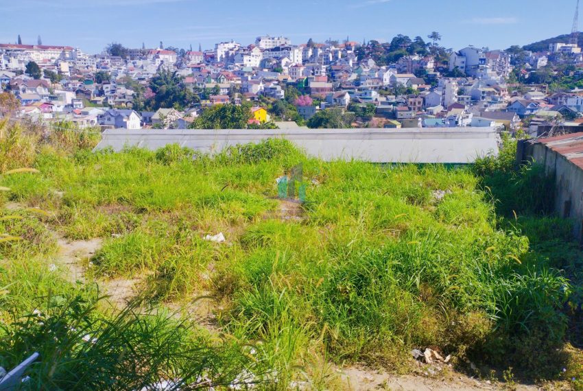 z7500816755209_757e9b699aa5add1e9eb18b3450a5e00