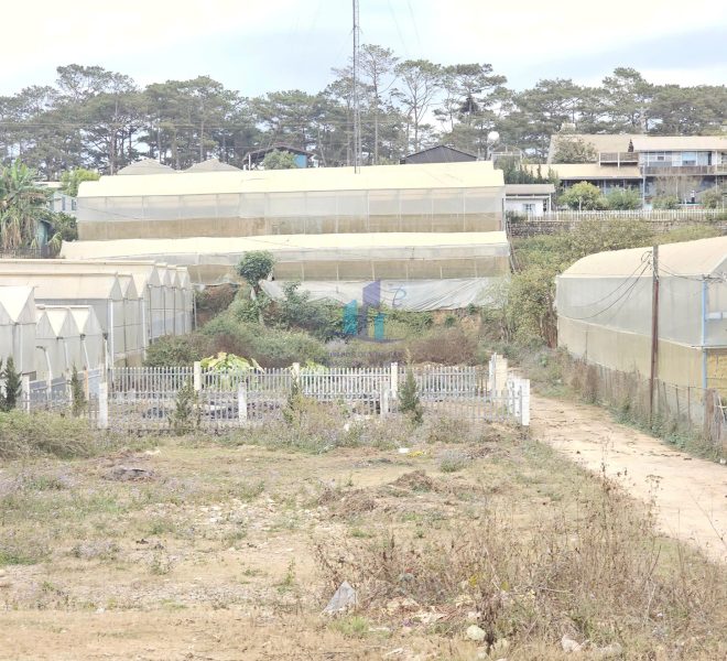 z7500873802146_0d92ba2742d5fb2992c65164db404e9d