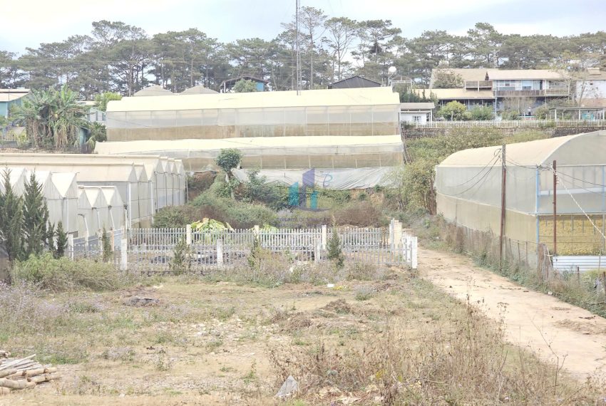 z7500873802146_0d92ba2742d5fb2992c65164db404e9d