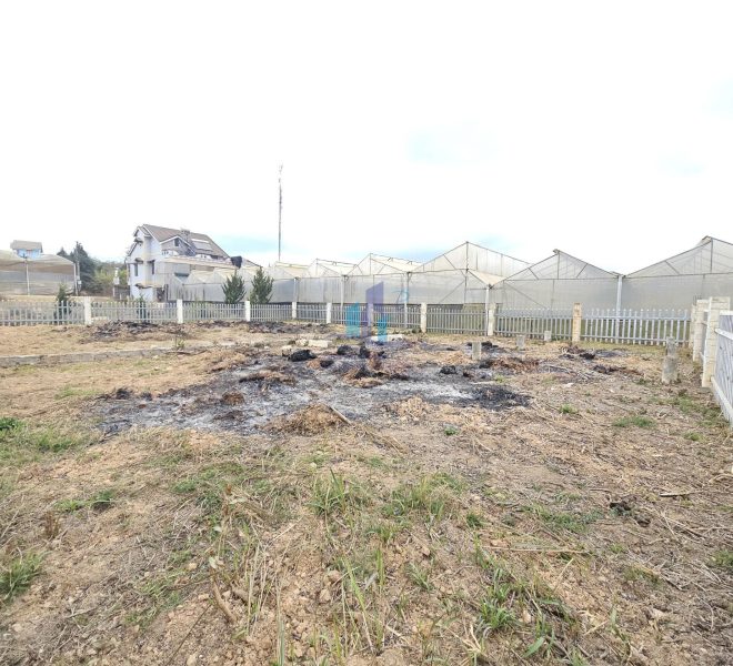 z7500873862793_c12e20dc867bcf20d194b9ab2adc4d5f