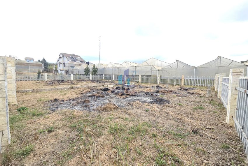 z7500873862793_c12e20dc867bcf20d194b9ab2adc4d5f