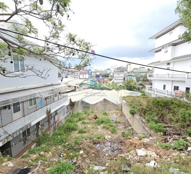 z7586508433513_1609c3a517de4869d431de66a5dac42a