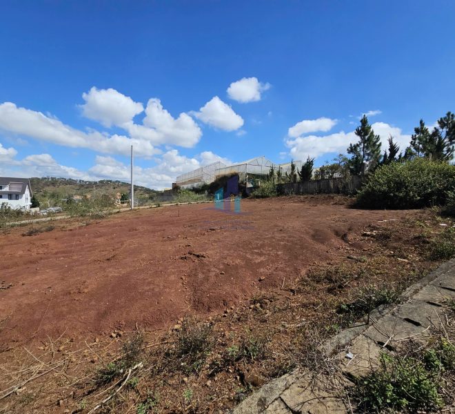 z7633469651284_beec80b4ed5c968aaea200b451c5d5cc