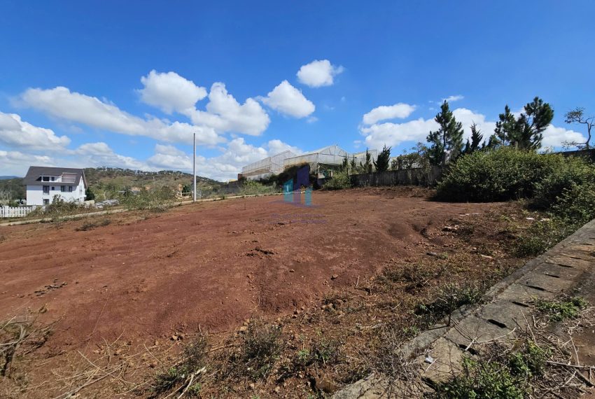 z7633469651284_beec80b4ed5c968aaea200b451c5d5cc