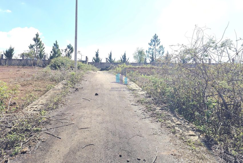 z7633469798991_a4e49cfac29a6d7855f22eaadfe9c9a9