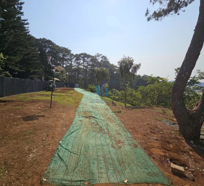 z7660578015792_de2f2c75b603425daaeff29a9564c7c1