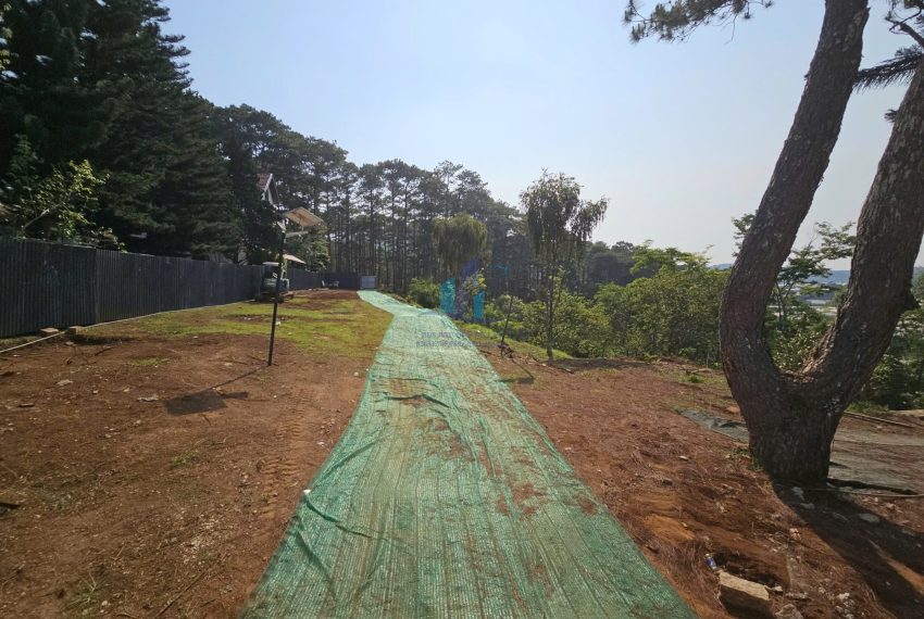 z7660578015792_de2f2c75b603425daaeff29a9564c7c1