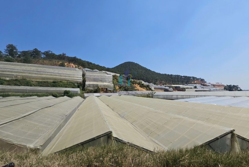 z7656904275552_79d94cf25064351ec22dc492a12e5e75