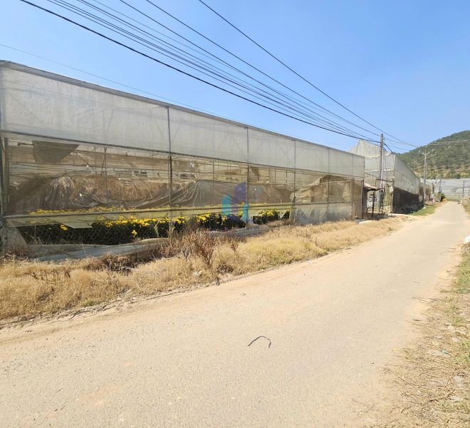 z7656904323463_2093b39703e37aed973c347e861c47b0