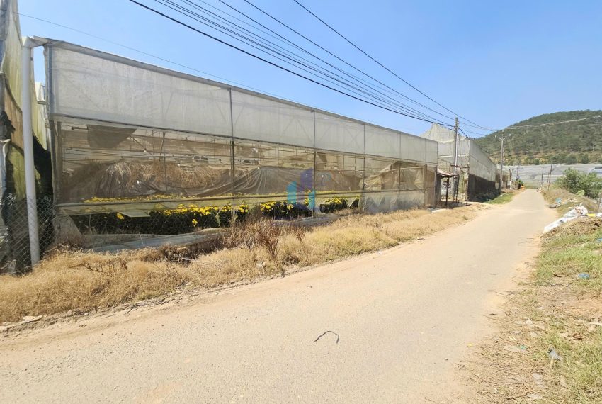 z7656904323463_2093b39703e37aed973c347e861c47b0