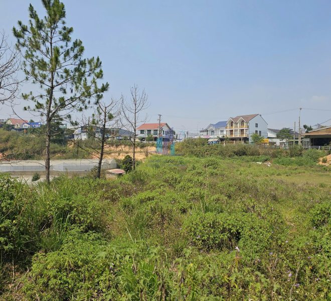 z7680447359622_0c18b3ebfd595773efb896ef248b9a37