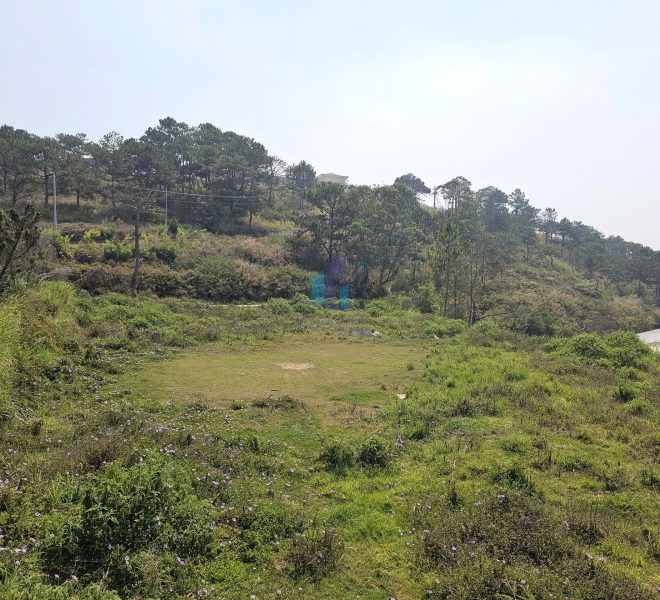 z7680447388232_719e0e2e7483e7247dd74e3b8bfc4b33