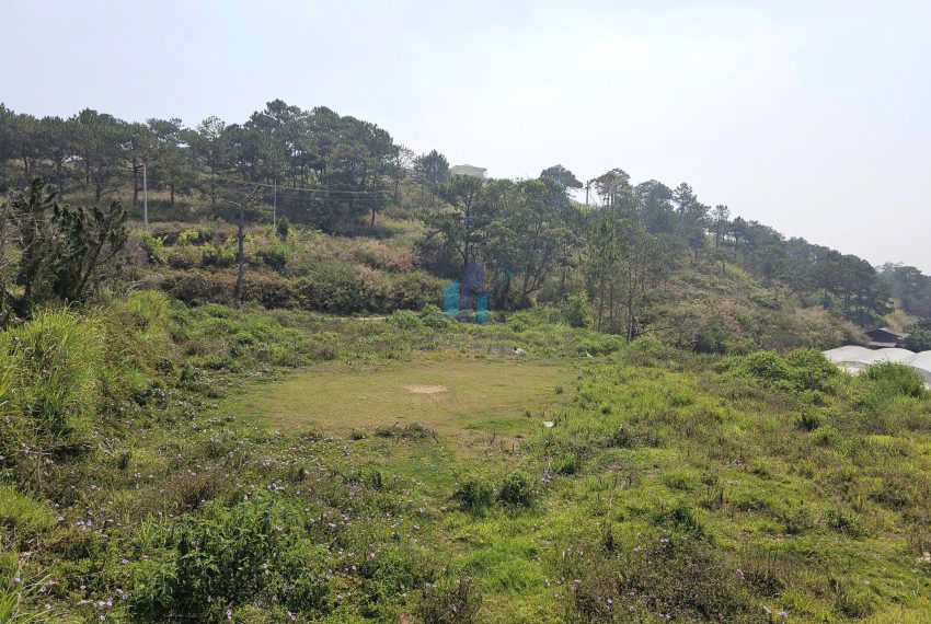 z7680447388232_719e0e2e7483e7247dd74e3b8bfc4b33