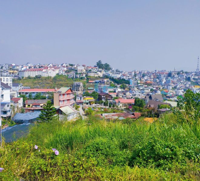 z7728604849174_c52d3bd8f4cb9f8b699cb7331c95cbec