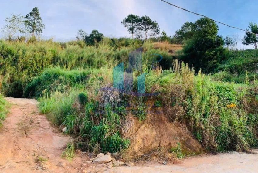z7932604914721_f93df11547e2ff5dcdaae5a9beefa9c3